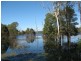 Lowmead QLD 4676
