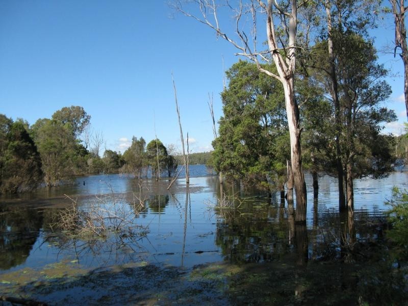 Lowmead QLD 4676