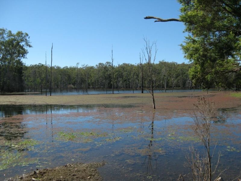 Lowmead QLD 4676