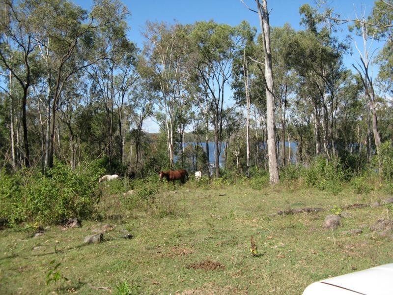 Lowmead QLD 4676