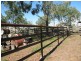 Lowmead QLD 4676