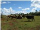 Apple Tree Creek QLD 4660