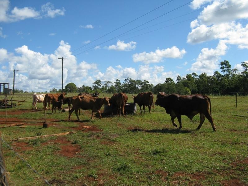 Apple Tree Creek QLD 4660