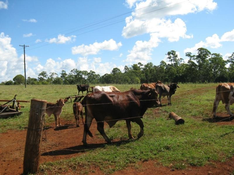 Apple Tree Creek QLD 4660