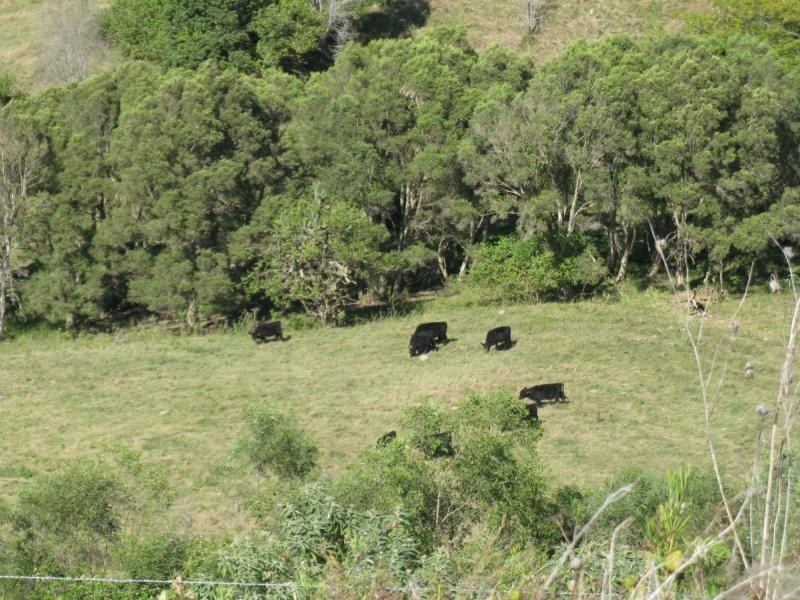 Mount Perry QLD 4671