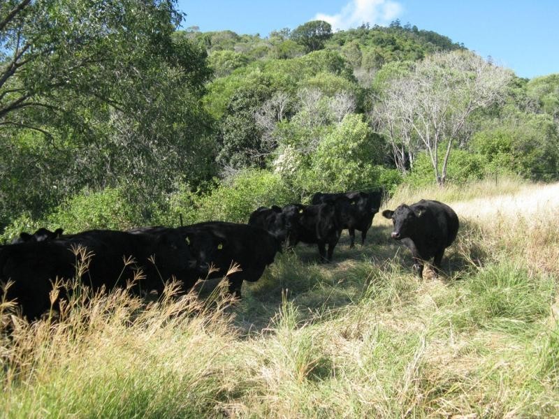 Mount Perry QLD 4671