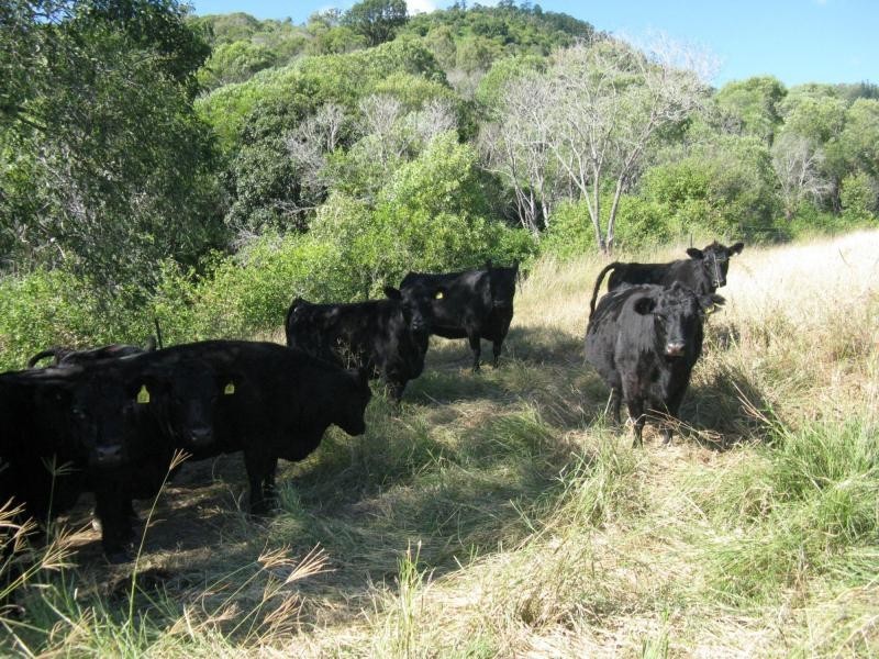 Mount Perry QLD 4671