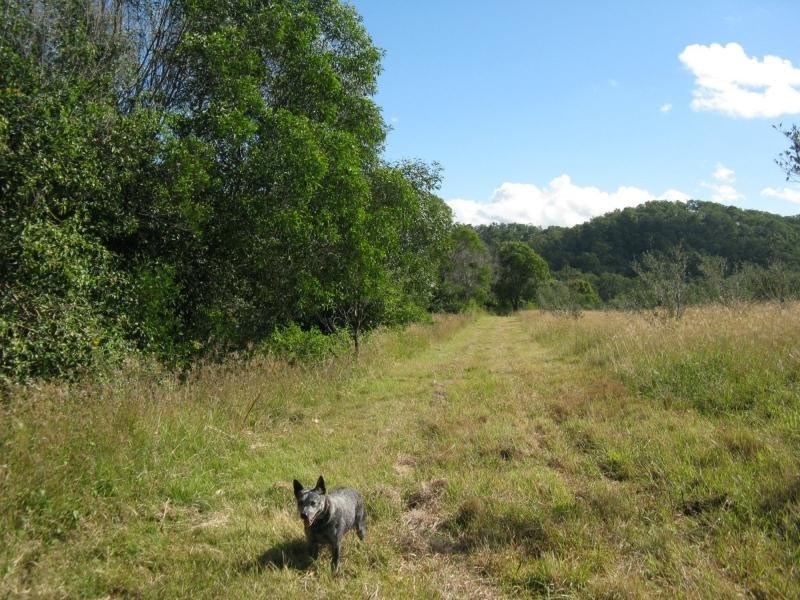 Mount Perry QLD 4671