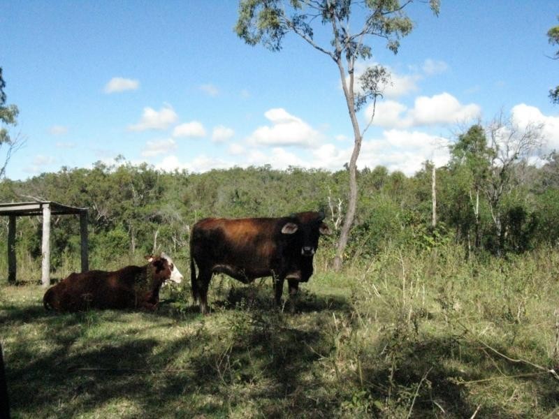 Kolonga QLD 4671