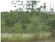 266 Horsecamp Road, Gin Gin QLD 4671