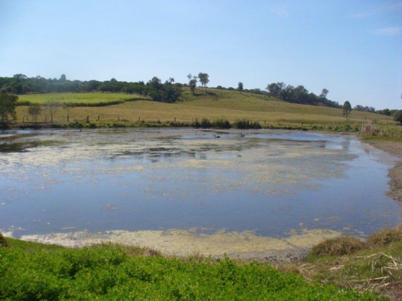 Redhill Farms QLD 4671