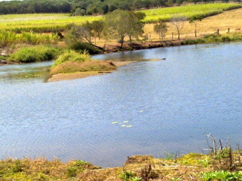 Redhill Farms QLD 4671