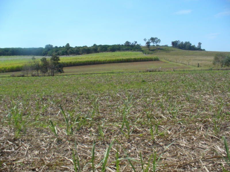 Redhill Farms QLD 4671