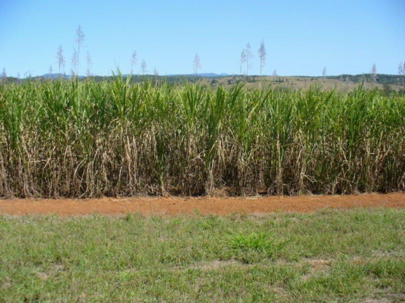 Redhill Farms QLD 4671