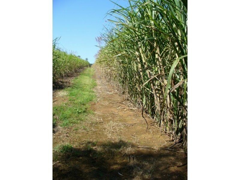 Redhill Farms QLD 4671