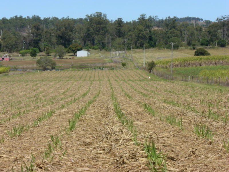 Redhill Farms QLD 4671