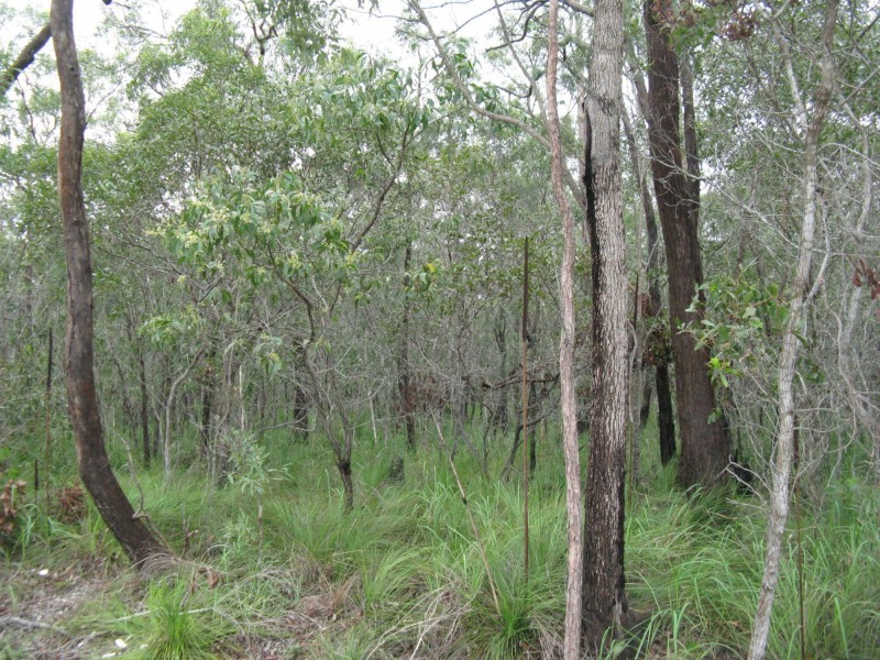 Meadowvale QLD 4670