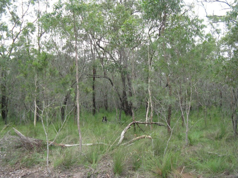 Meadowvale QLD 4670