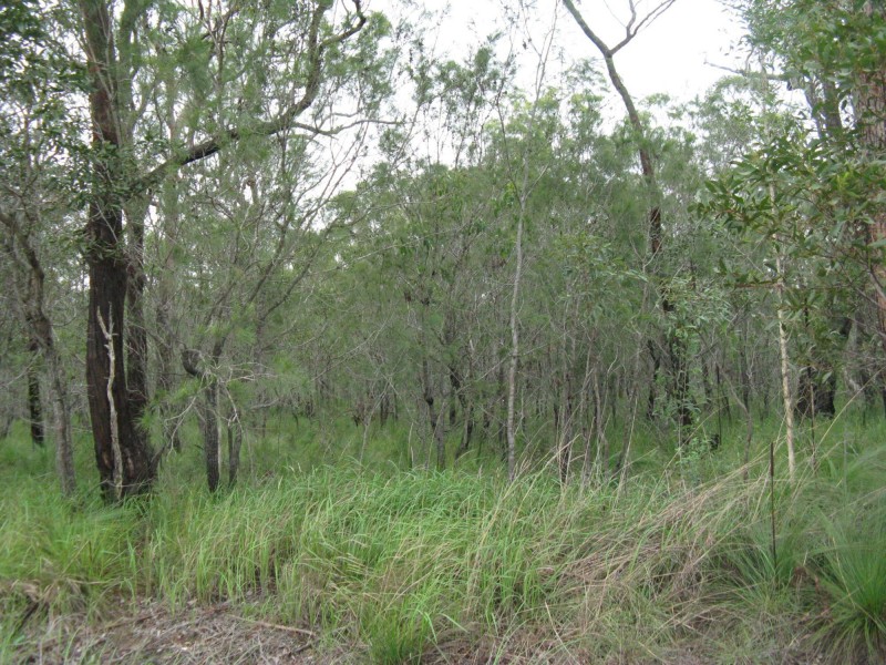 Meadowvale QLD 4670