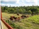 143 South Littabella Road, Bundaberg QLD 4670