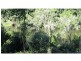 Avondale QLD 4670