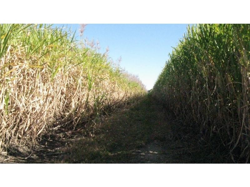 Moore Park Beach QLD 4670