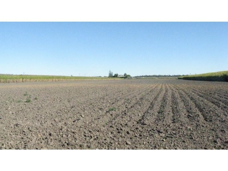 Moore Park Beach QLD 4670