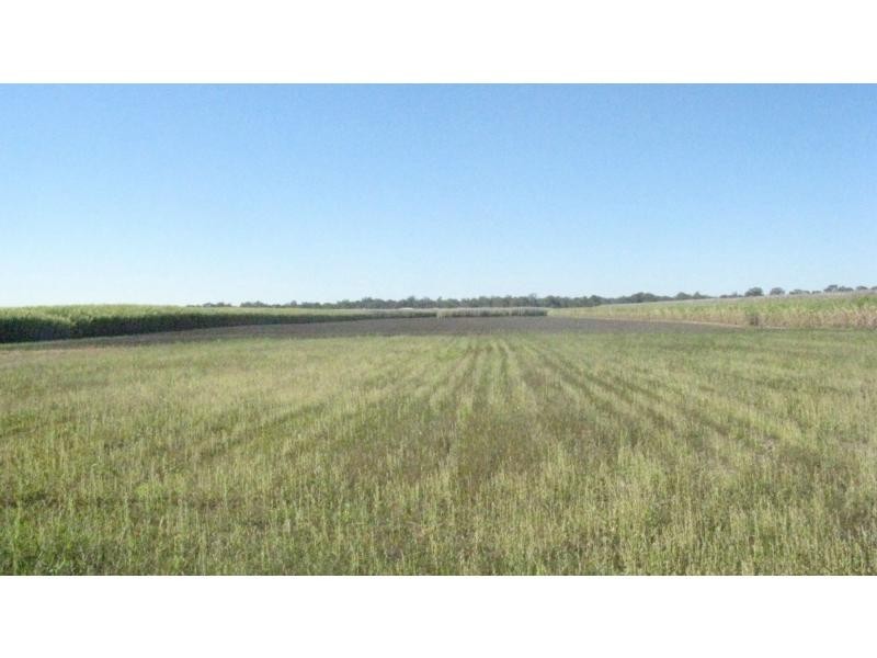 Moore Park Beach QLD 4670