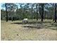 Bucca QLD 4670