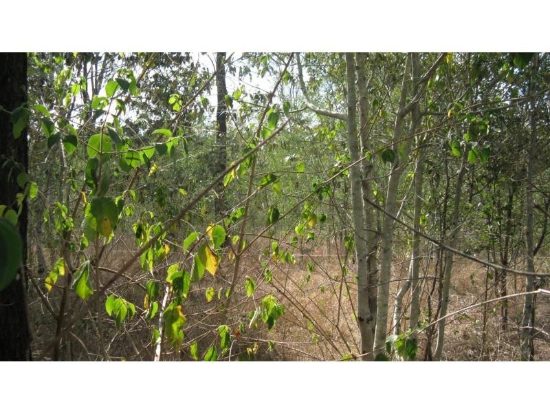 Lot 18 Sittella Crescent, Delan QLD 4671