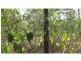 Lot 18 Sittella Crescent, Delan QLD 4671