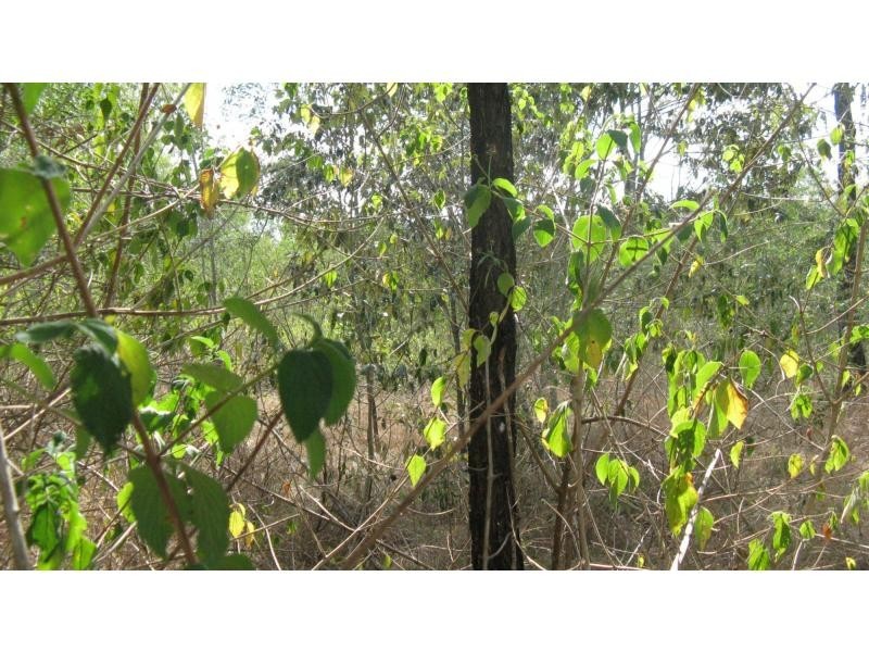 Lot 18 Sittella Crescent, Delan QLD 4671