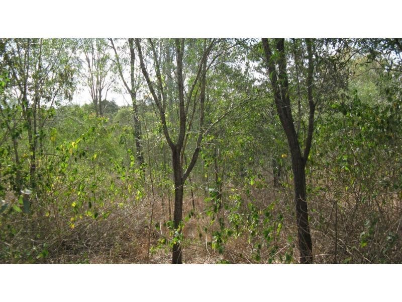 Lot 18 Sittella Crescent, Delan QLD 4671