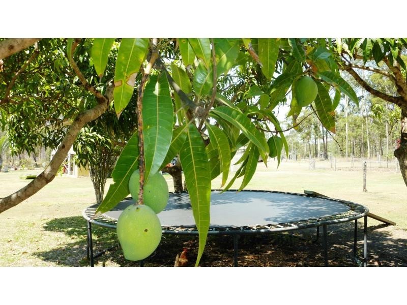 52 Rounds Road, Bucca QLD 4670