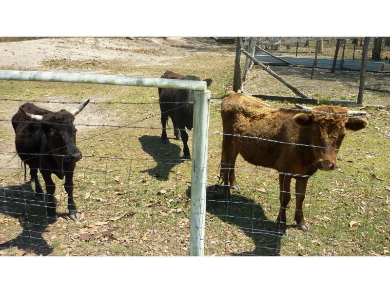 52 Rounds Road, Bucca QLD 4670