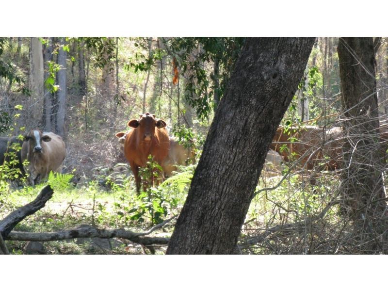 Lot 89 North Branch Road, Mount Perry QLD 4671