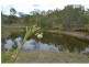 707 Wallaville Goondoon Road, Delan QLD 4671