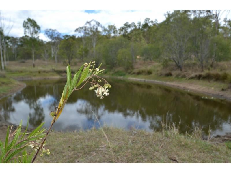 707 Wallaville Goondoon Road, Delan QLD 4671