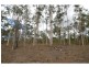 707 Wallaville Goondoon Road, Delan QLD 4671