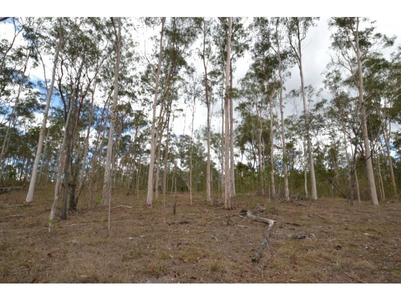 707 Wallaville Goondoon Road, Delan QLD 4671