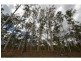707 Wallaville Goondoon Road, Delan QLD 4671