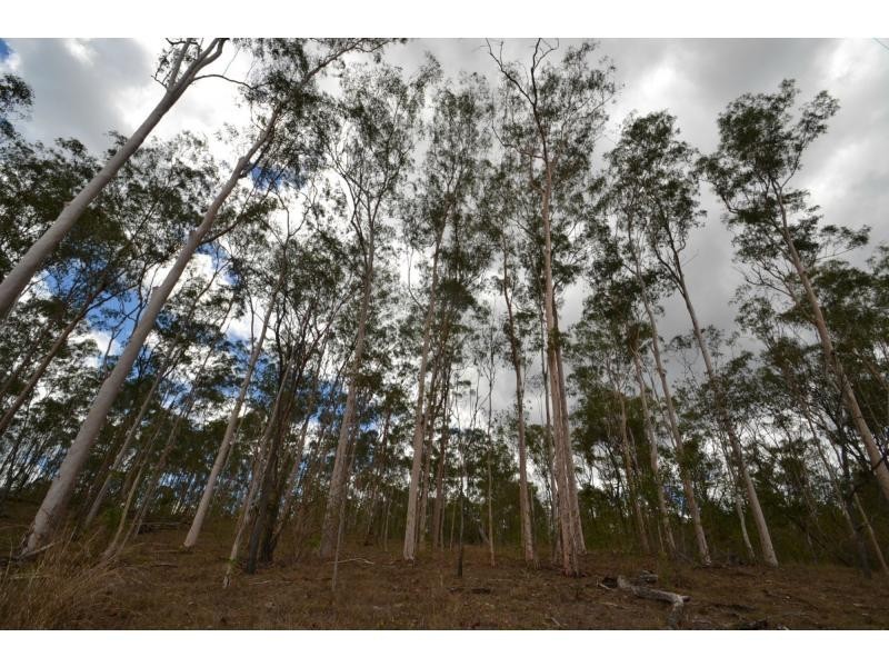 707 Wallaville Goondoon Road, Delan QLD 4671