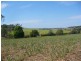 Redhill Farms QLD 4671