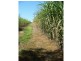 Redhill Farms QLD 4671