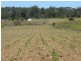 Redhill Farms QLD 4671