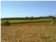 Redhill Farms QLD 4671