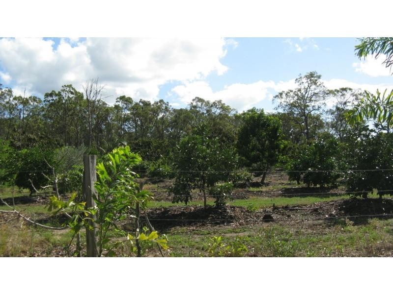 1245 Childers Road, Branyan QLD 4670