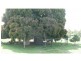 43 Plantation Road, Avondale QLD 4670