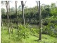 L86 Honors Road, Gin Gin QLD 4671