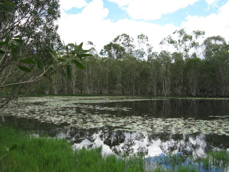 1016 Monduran Road, Yandaran QLD 4673